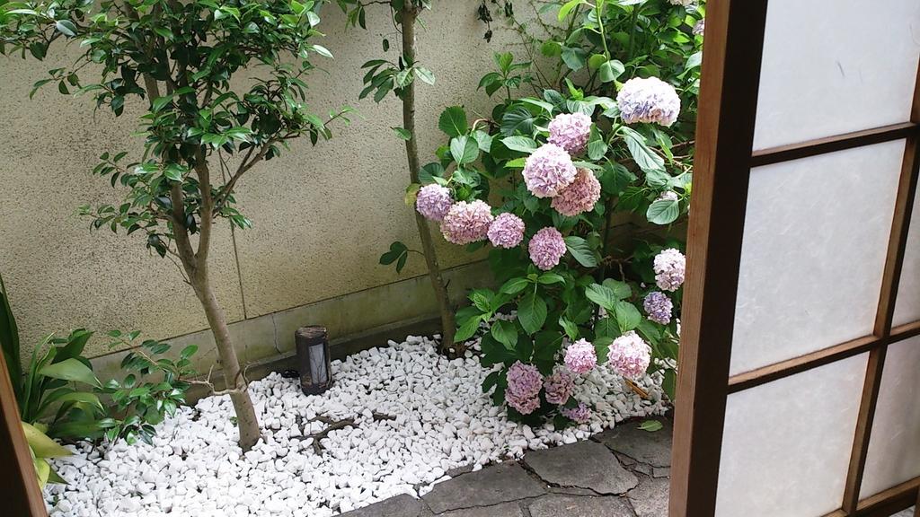 Thank You So Muchya Eikando Kyoto Dış mekan fotoğraf