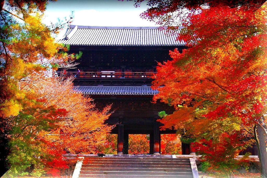Thank You So Muchya Eikando Kyoto Dış mekan fotoğraf