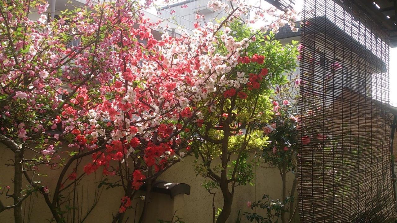 Thank You So Muchya Eikando Kyoto Dış mekan fotoğraf